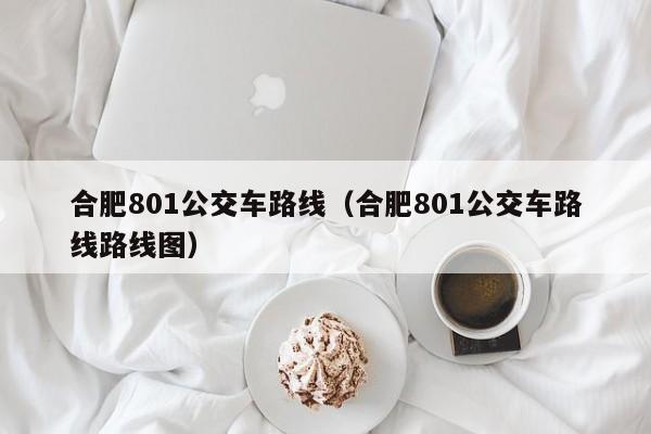 合肥801公交车路线（合肥801公交车路线路线图）