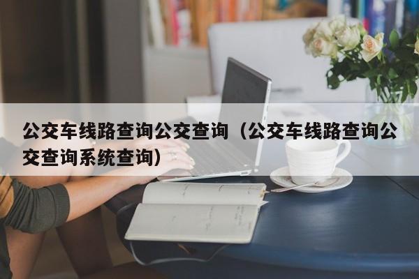 公交车线路查询公交查询（公交车线路查询公交查询系统查询）