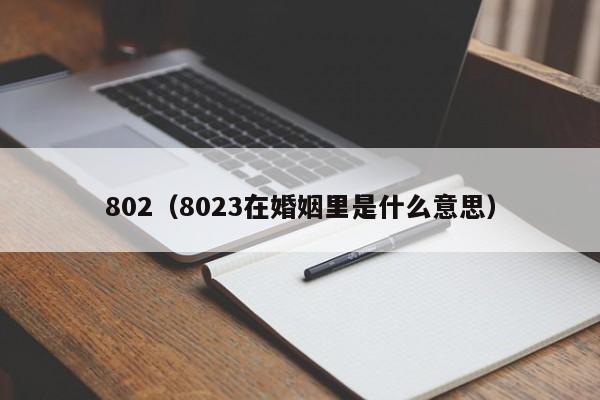 802（8023在婚姻里是什么意思）