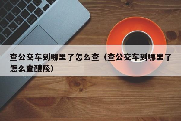 查公交车到哪里了怎么查（查公交车到哪里了怎么查醴陵）