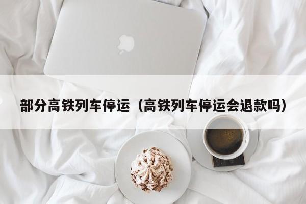 部分高铁列车停运（高铁列车停运会退款吗）