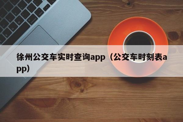 徐州公交车实时查询app（公交车时刻表app）