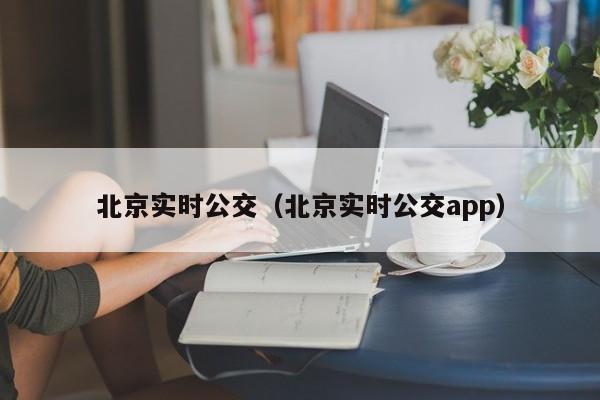 北京实时公交（北京实时公交app）