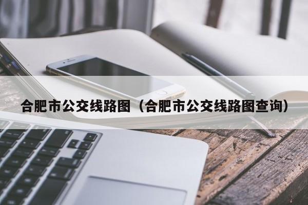 合肥市公交线路图（合肥市公交线路图查询）