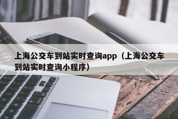 上海公交车到站实时查询app（上海公交车到站实时查询小程序）