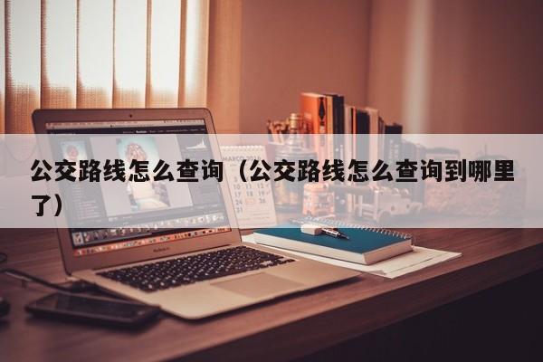 公交路线怎么查询（公交路线怎么查询到哪里了）