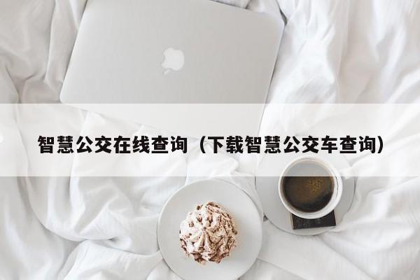 智慧公交在线查询（下载智慧公交车查询）