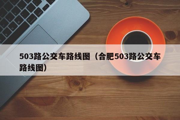 503路公交车路线图（合肥503路公交车路线图）