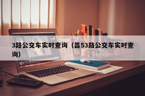 3路公交车实时查询（昌53路公交车实时查询）