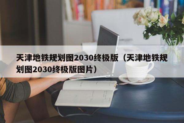 天津地铁规划图2030终极版（天津地铁规划图2030终极版图片）