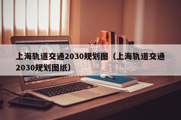 上海轨道交通2030规划图（上海轨道交通2030规划图纸）