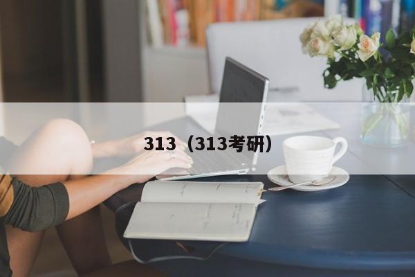 313（313考研）