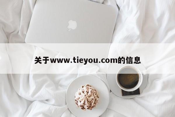 关于www.tieyou.com的信息