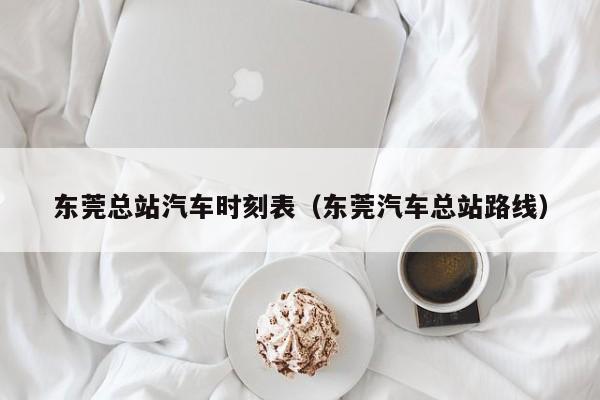 东莞总站汽车时刻表（东莞汽车总站路线）