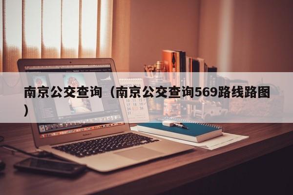 南京公交查询（南京公交查询569路线路图）