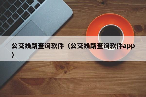 公交线路查询软件（公交线路查询软件app）