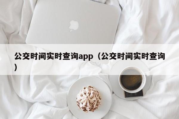 公交时间实时查询app（公交时间实时查询）