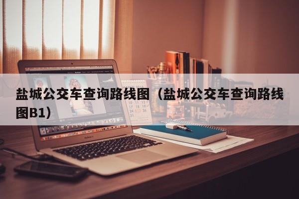 盐城公交车查询路线图（盐城公交车查询路线图B1）