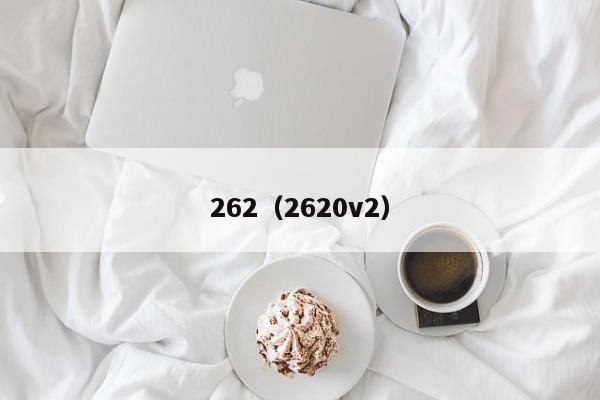 262（2620v2）