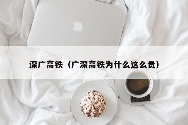 深广高铁（广深高铁为什么这么贵）