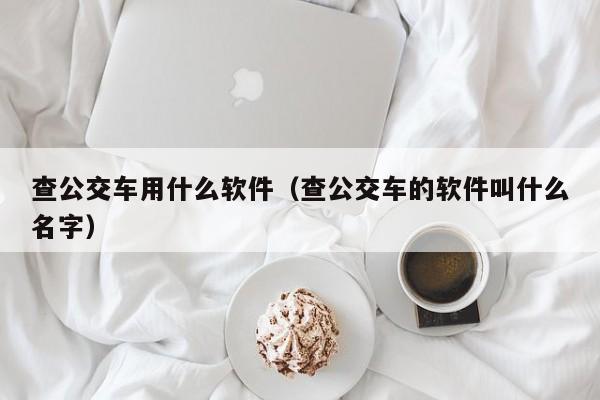 查公交车用什么软件（查公交车的软件叫什么名字）