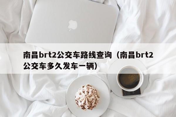 南昌brt2公交车路线查询（南昌brt2公交车多久发车一辆）