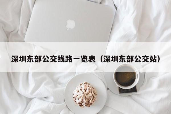 深圳东部公交线路一览表（深圳东部公交站）